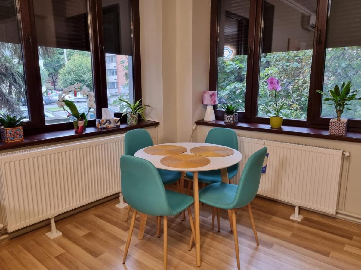 City Center Dream Apartment Timişoara Eksteriør billede