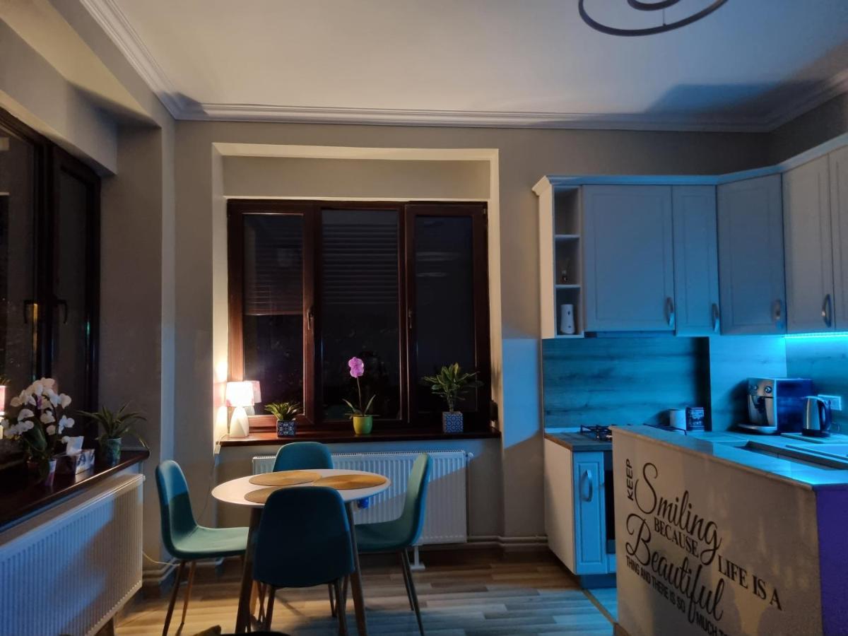 City Center Dream Apartment Timişoara Eksteriør billede