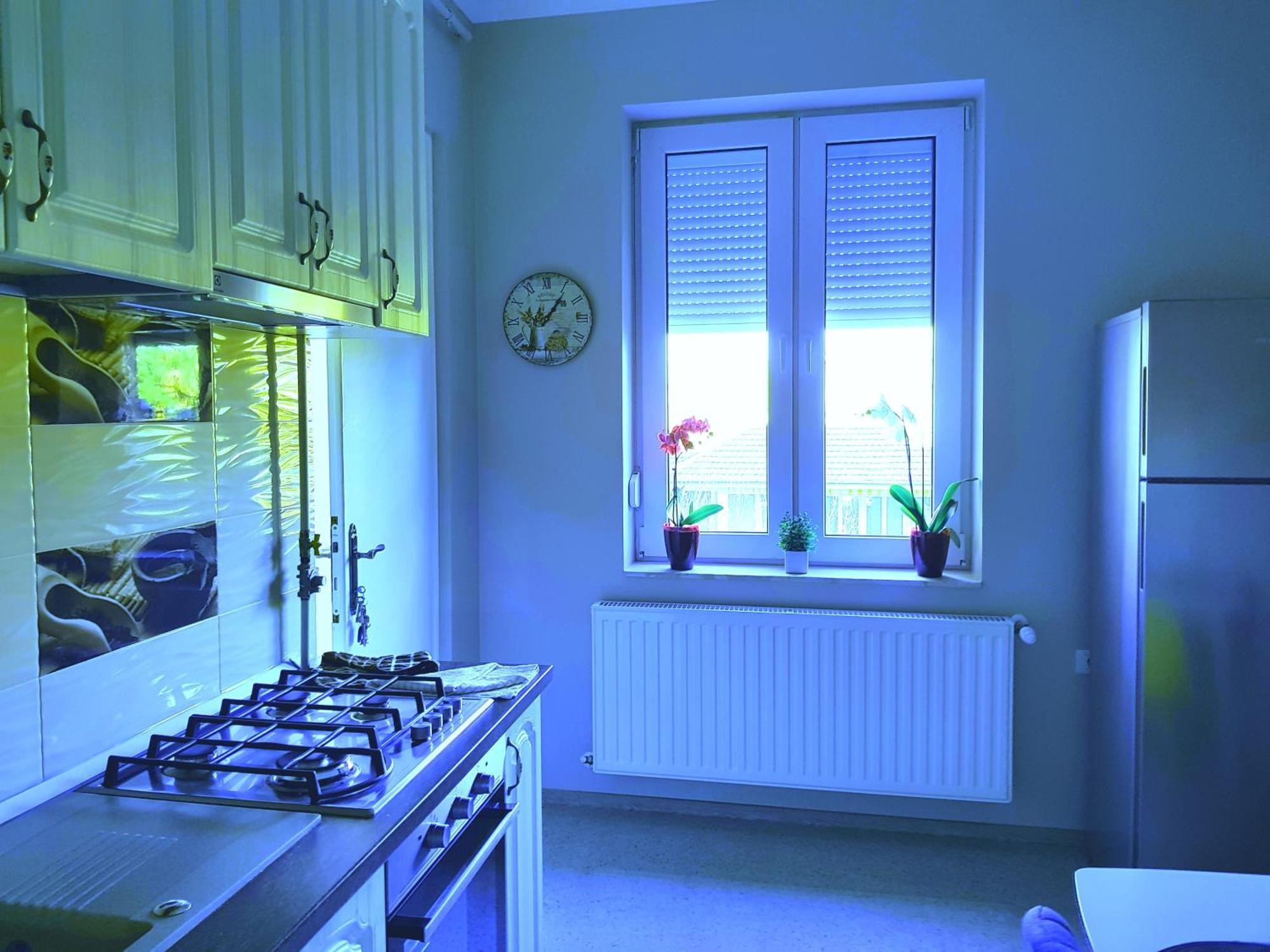 City Center Dream Apartment Timişoara Eksteriør billede
